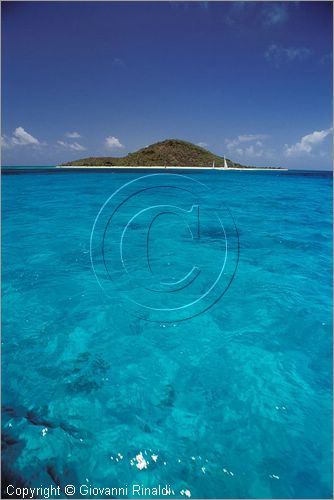 CARAIBI - ISOLE VERGINI AMERICANE - ISOLA DI ST.CROIX - BUCK ISLAND