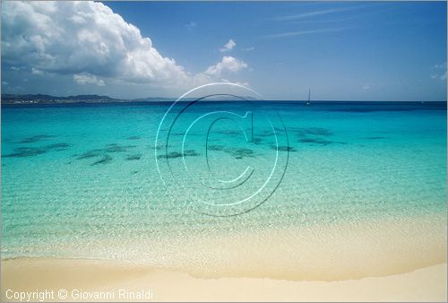 CARAIBI - ISOLE VERGINI AMERICANE - ISOLA DI ST.CROIX - BUCK ISLAND