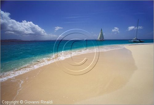 CARAIBI - ISOLE VERGINI AMERICANE - ISOLA DI ST.CROIX - BUCK ISLAND