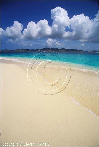 CARAIBI - ISOLE VERGINI AMERICANE - ISOLA DI ST.CROIX - BUCK ISLAND