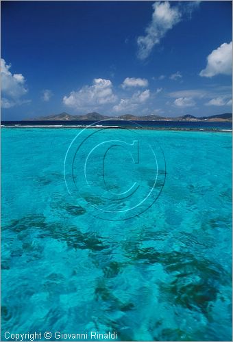 CARAIBI - ISOLE VERGINI AMERICANE - ISOLA DI ST.CROIX - BUCK ISLAND - barriera corallina