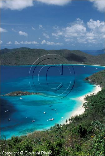 CARAIBI - ISOLE VERGINI AMERICANE - ISOLA DI ST.JOHN - Chinnamon Bay