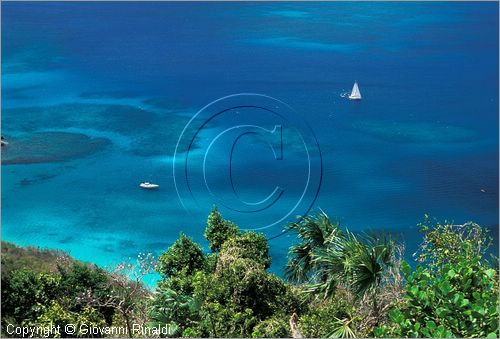 CARAIBI - ISOLE VERGINI AMERICANE - ISOLA DI ST.JOHN - Peter Bay