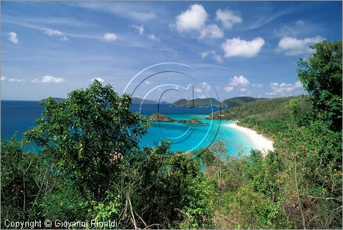 CARAIBI - ISOLE VERGINI AMERICANE - ISOLA DI ST.JOHN - Trunk Bay