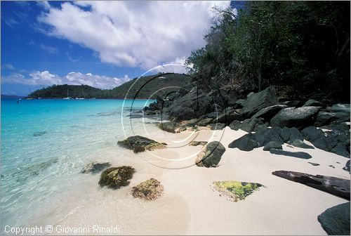 CARAIBI - ISOLE VERGINI AMERICANE - ISOLA DI ST.JOHN - Hawksnest Bay