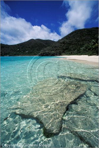 CARAIBI - ISOLE VERGINI AMERICANE - ISOLA DI ST.JOHN - Hawksnest Bay