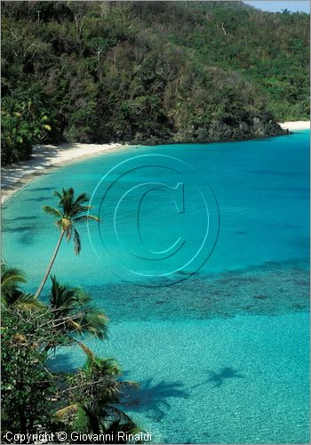 CARAIBI - ISOLE VERGINI AMERICANE - ISOLA DI ST.JOHN - Hawksnest Bay