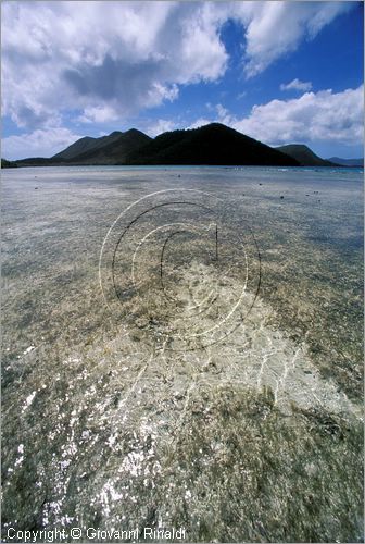 CARAIBI - ISOLE VERGINI AMERICANE - ISOLA DI ST.JOHN - Leinster Bay