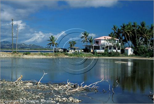 CARAIBI - ISOLE VERGINI AMERICANE - ISOLA DI ST.JOHN - laguna presso Cruz Bay