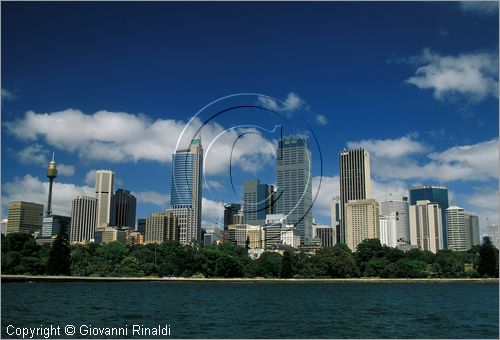 AUSTRALIA - SYDNEY - veduta del centro della citt con i grattaceli dal parco presso Mrs Macquaries Point