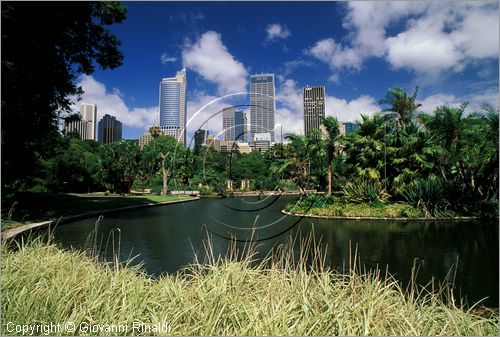 AUSTRALIA - SYDNEY - The Domain - Royal Botanic Gardens - sullo sfondo i grattaceli del centro della città