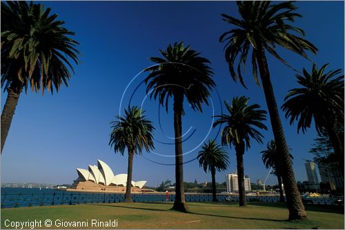 AUSTRALIA - SYDNEY - veduta dell'Opera House da The Rocks