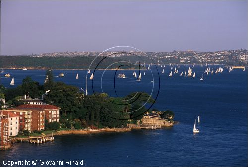 AUSTRALIA - SYDNEY - la baia con Kirribilli Point visto dall'Harbour Bridge