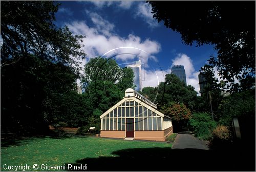 AUSTRALIA - SYDNEY - The Domain - Royal Botanical Garden
