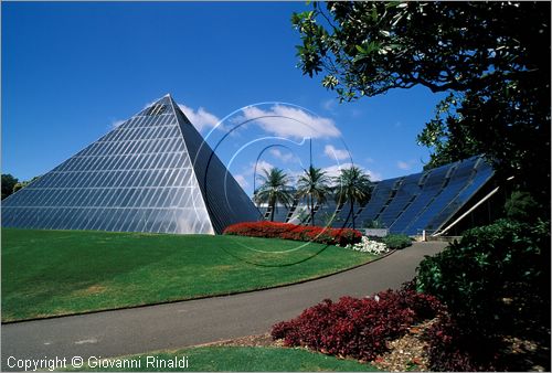 AUSTRALIA - SYDNEY - The Domain - Royal Botanical Garden