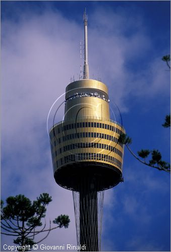 AUSTRALIA - SYDNEY - la Sydney Tower