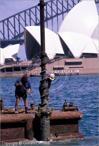 AUSTRALIA - SYDNEY - lavori nelle acque della baia di Farm Cove, sullo sfondo l'Opera House