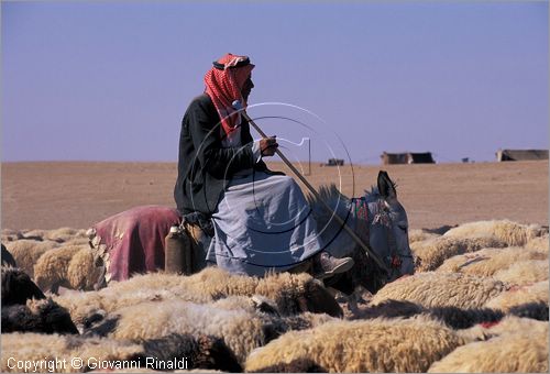 SYRIA - un pastore trasporta le greggi nel deserto tra la valle dell'Eufrate e Palmira