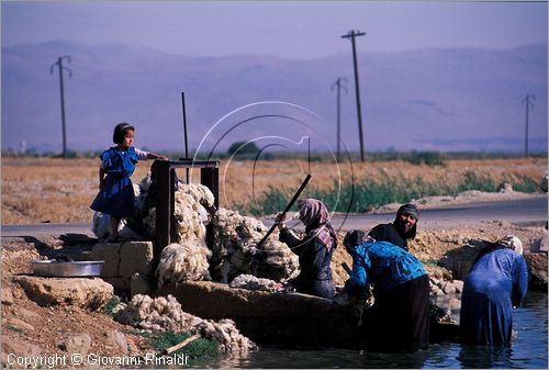 SYRIA - le donne lavano la lana lungo un corso d'acqua