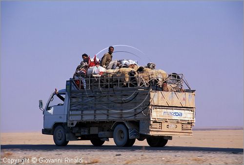 SYRIA - trasporto delle greggi nel deserto tra la valle dell'Eufrate e Palmira