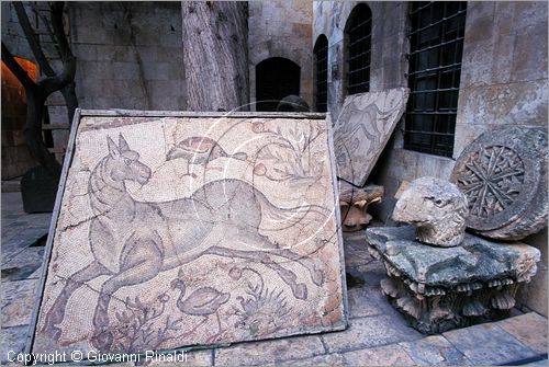 SYRIA - Hama nella Valle dell'Oronte - Palazzo e Museo Azem