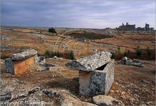 SYRIA - Serjilla - una delle "citta morte" del V secolo