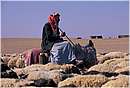 syria0003.jpg