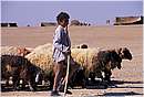 syria0004.jpg