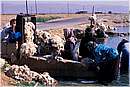 syria0005.jpg