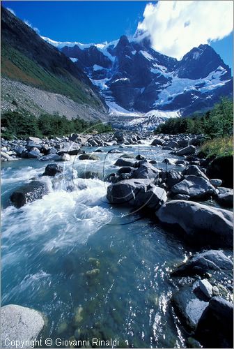 CILE - CHILE - PATAGONIA - Parco Nazionale Torres del Paine - Rio Frances, dietro il Glaciar Frances ed il Paine Grande