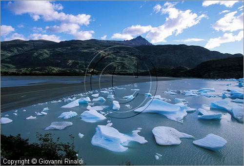 CILE - CHILE - PATAGONIA - Parco Nazionale Torres del Paine - Lago Grey con i ghiacci galleggianti che si staccano dal ghiacciao Grey e finiscono sulla spiaggia opposta