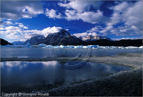 CILE - CHILE - PATAGONIA - Parco Nazionale Torres del Paine - Lago Grey con i ghiacci galleggianti che si staccano dal ghiacciao Grey e finiscono sulla spiaggia opposta - in fondo il gruppo del Paine
