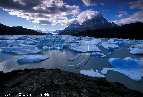 CILE - CHILE - PATAGONIA - Parco Nazionale Torres del Paine - Lago Grey con i ghiacci galleggianti che si staccano dal ghiacciao Grey - in fondo il gruppo del Paine