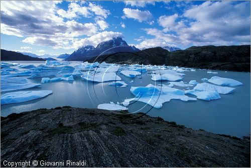 CILE - CHILE - PATAGONIA - Parco Nazionale Torres del Paine - Lago Grey con i ghiacci galleggianti che si staccano dal ghiacciao Grey - in fondo il gruppo del Paine