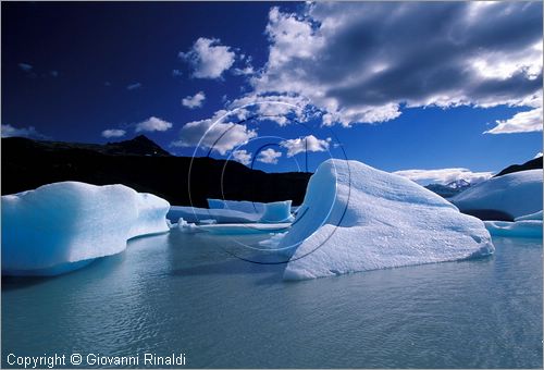 CILE - CHILE - PATAGONIA - Parco Nazionale Torres del Paine - Lago Grey con i ghiacci galleggianti che si staccano dal ghiacciao Grey (Campo de Hielo Sur)