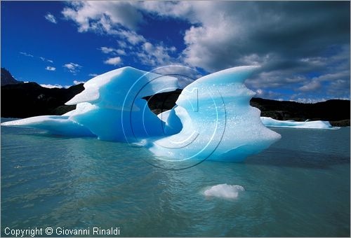 CILE - CHILE - PATAGONIA - Parco Nazionale Torres del Paine - Lago Grey con i ghiacci galleggianti che si staccano dal ghiacciao Grey (Campo de Hielo Sur)