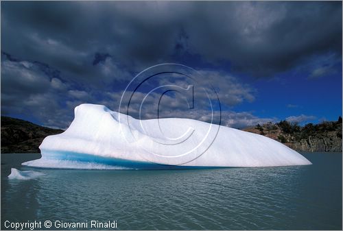 CILE - CHILE - PATAGONIA - Parco Nazionale Torres del Paine - Lago Grey con i ghiacci galleggianti che si staccano dal ghiacciao Grey