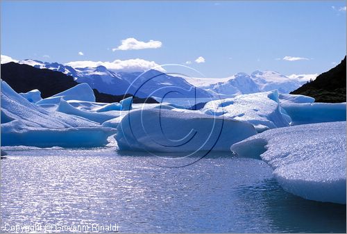 CILE - CHILE - PATAGONIA - Parco Nazionale Torres del Paine - Lago Grey con i ghiacci galleggianti che si staccano dal ghiacciao Grey