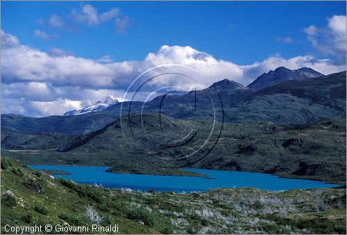 CILE - CHILE - PATAGONIA - Parco Nazionale Torres del Paine - Lago Peohe