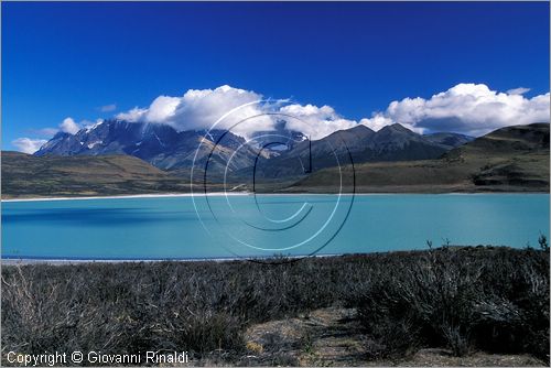 CILE - CHILE - PATAGONIA - Parco Nazionale Torres del Paine - Laguna Amarga