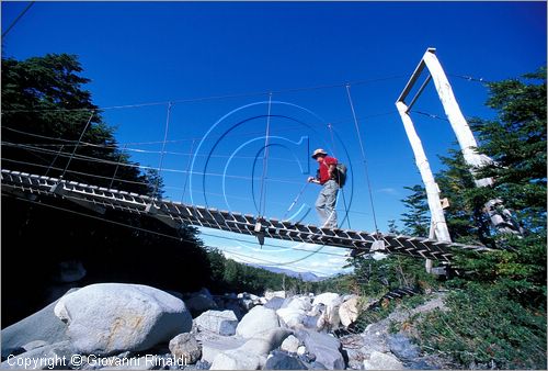 CILE - CHILE - PATAGONIA - Parco Nazionale Torres del Paine - trekking al Rio Frances