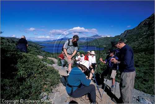 CILE - CHILE - PATAGONIA - Parco Nazionale Torres del Paine - trekking alle pendici del gruppo del Paine