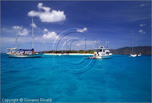 CARAIBI - ISOLE VERGINI BRITANNICHE - SANDY CAY - isolotto vicino a Jost Van Dyke