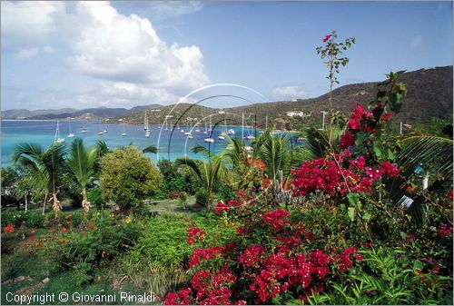 CARAIBI - ISOLE VERGINI BRITANNICHE - MARINA CAY