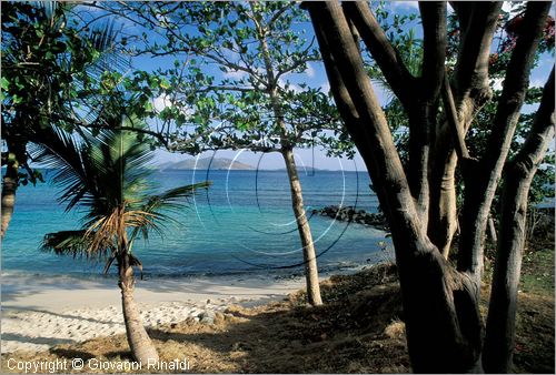 CARAIBI - ISOLE VERGINI BRITANNICHE - ISOLA DI TORTOLA - Apple Bay