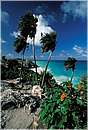 mexico_tulum0006.jpg