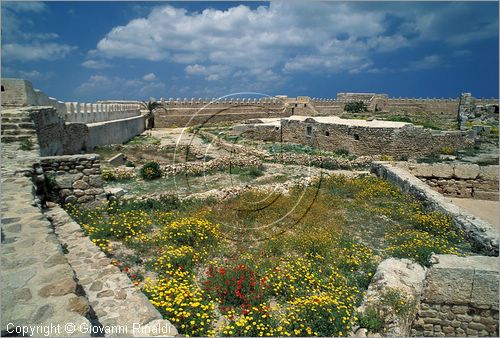 TUNISIA - Kelibia - Fort Kelibia