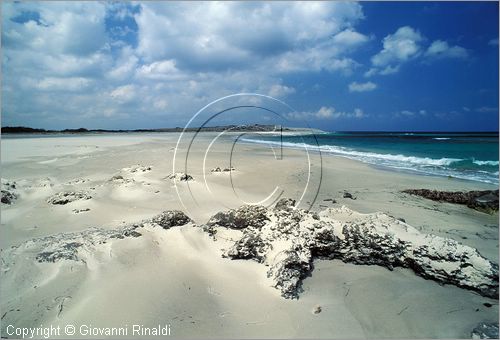 TUNISIA - (Kelibia) - spiaggia a nord est presso Hamman El Ghezaz