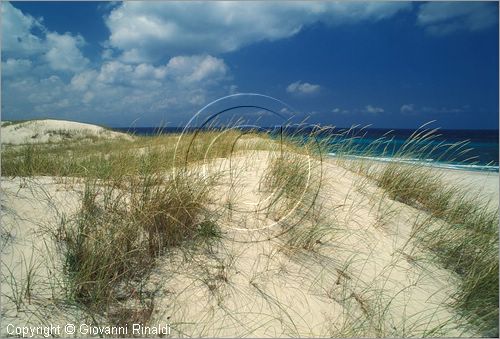 TUNISIA - (Kelibia) - spiaggia a nord est presso Hamman El Ghezaz