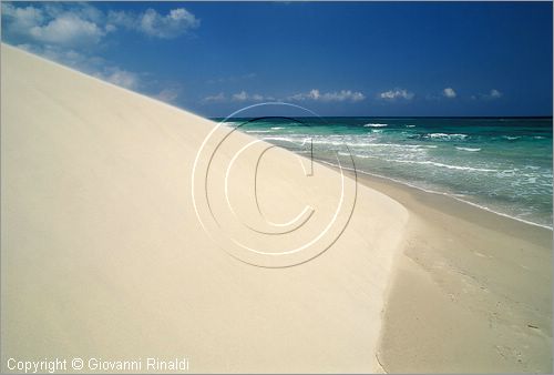 TUNISIA - (Kelibia) - spiaggia a nord est presso Hamman El Ghezaz